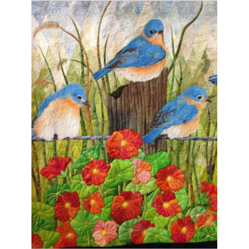 Bird CLM0211043 Quilt Blanket