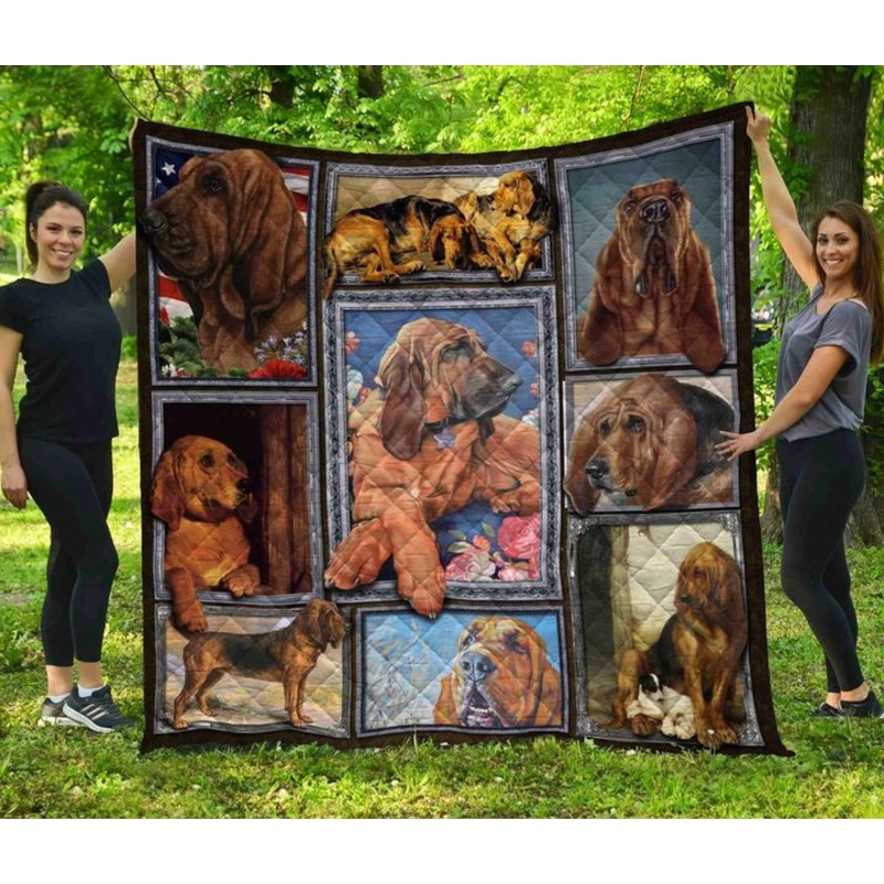 Bloodhound CL08110066MDQ Quilt Blanket