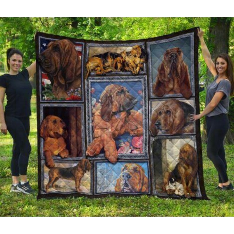Bloodhound CL20110082MDQ Quilt Blanket