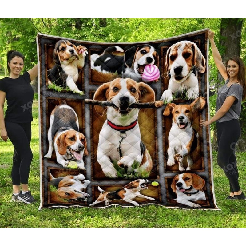 Beagle CL05100006MDQ Quilt Blanket