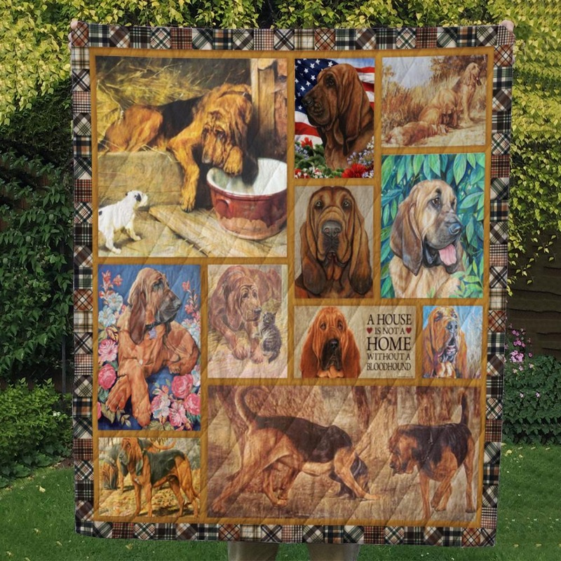 Bloodhound CL10100054MDQ Quilt Blanket