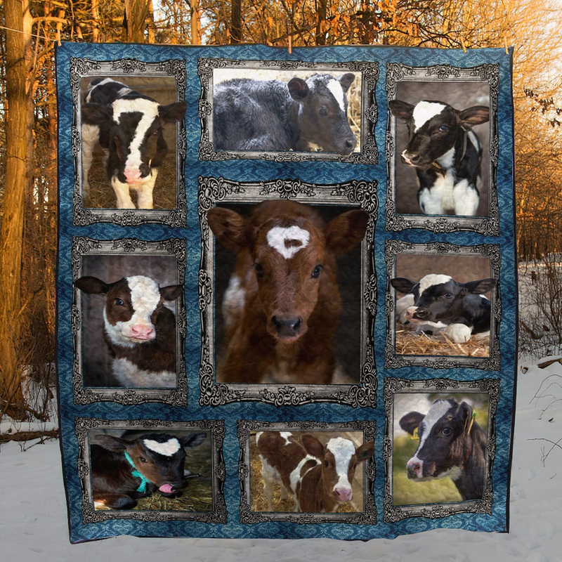 Baby Cows CL15110007MDQ Quilt Blanket