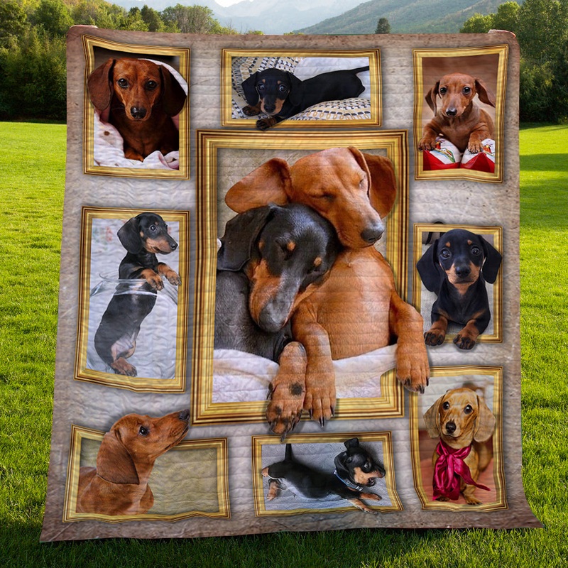 3d Dachshund CLH0412001Q Art Quilt